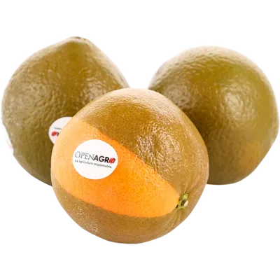 Апельсин «Шоколадный» 1 кг, фасовка 0,6 - 0,7 кг купить с доставкой, цены в  интернет-магазине Едоставка