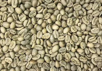 Купить зеленый кофе Арабика Эфиопия Йоргачеф
