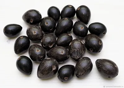 Астрокариум колючий черный, бусины из семян – купить на Ярмарке Мастеров –  EOMJTRU | Бусины, Санкт-Петербург