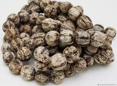 Visola, бусины из семян необработаные – купить на Ярмарке Мастеров –  EOJU9RU | Бусины, Санкт-Петербург