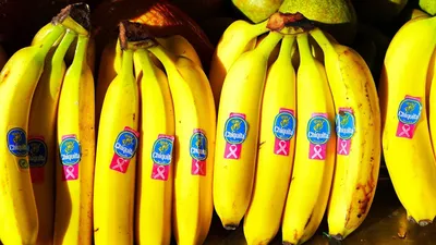 Бананы, 1 кг — купить в интернет-магазине по низкой цене на Яндекс Маркете