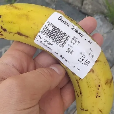 Бананы в шоколаде 180 г BANANA REPUBLIC 8765920 купить в интернет-магазине  Wildberries