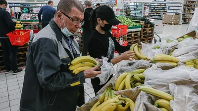 Растут ли бананы в России?