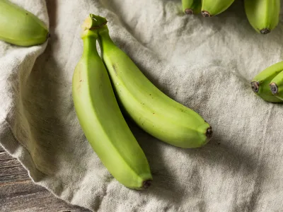 Где и на чём растут бананы?