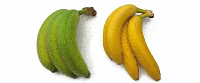 Фрукты Красные бананы - «Красный банан, любопытная экзотика. Простой способ  «дозреть» красные бананы.» | отзывы