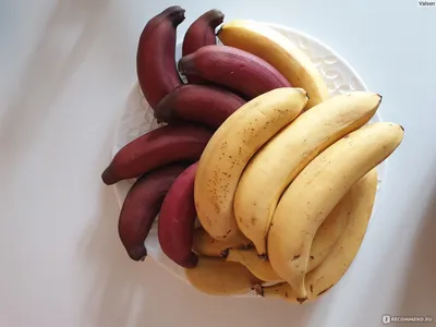 Бананы сушеные вяленые без сахара 100 г Вкусы мира 26789377 купить в  интернет-магазине Wildberries