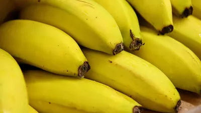 биология | Банан — высококалорийный источник калия - Hi-News.ru