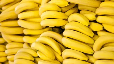 Мелкие зеленые бананы. Чем они полезны? | Еда и кулинария | ШколаЖизни.ру
