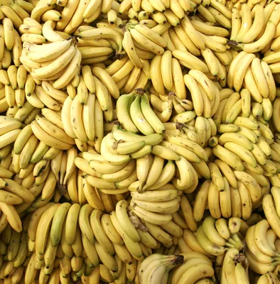 Бананы - полезные свойства и калорийность, применение и приготовление,  польза и вред - Hi-chef.ru