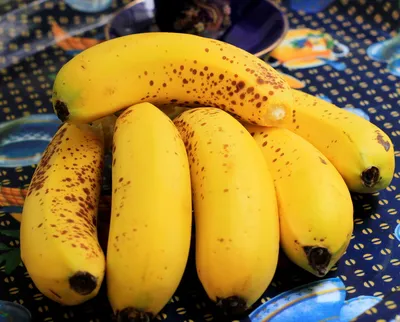 Бананы весовые, 1 - 1,5 кг — купить в интернет-магазине OZON с быстрой  доставкой