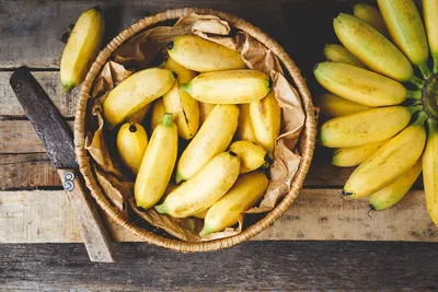 Жительница Прикамья вырастила бананы у себя дома | НОВОСТИ ПЕРМИ | МОЙ  ГОРОД - ПЕРМЬ! — Новости Перми