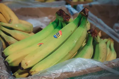 Бананы в шоколаде рецепт с фото пошагово и видео - 1000.menu