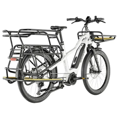 Bergamont E-Cargoville LT Expert Lastenrad (2022) | E-BIKES