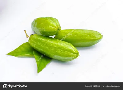 Стоковая фотография 1270399099: Averrhoa Bilimbi Fruit | Shutterstock