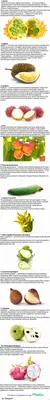 Несколько экзотических фруктов | Пикабу