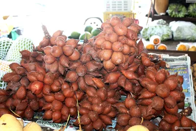 Фрукты Таиланд Салак (Змеиный фрукт) - «Тайский ЗМЕИНЫЙ фрукт САЛАК, фото и  полезные свойства. Как чистить, что внутри и как выращивать в домашних  условиях?!» | отзывы