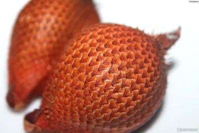 Фрукты Таиланд Салак (Змеиный фрукт) - «Вкусный и необычный!» | отзывы