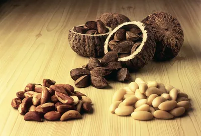 Чем полезен бразильский орех – польза и вред бразильского ореха, свойства,  калорийность и полезные свойства и противопоказания бразильского ореха