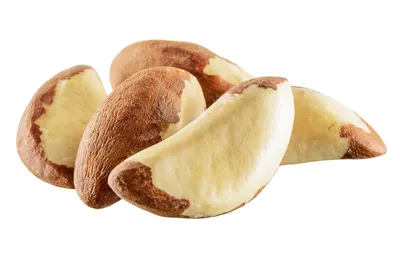 Бразильский орех: купить плод 100г дешево и без переплаты. Доставка по  Украине
