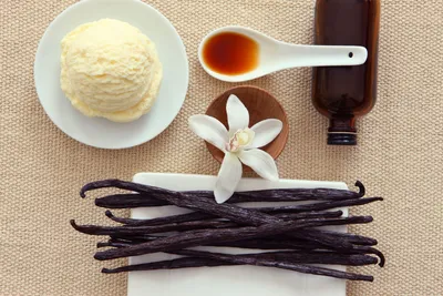 Как использовать специи: ваниль, ванильный сахар, ванилин и ванильная  эссенция | Пикабу