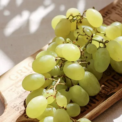 Виноград — польза и вред для организма, кому нельзя есть виноград -  Чемпионат