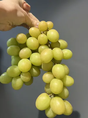 Купить Виноград Зеленый Перу в Минске - Экзотические фрукты в коробках