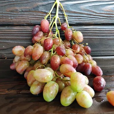 Свежий виноград из Молдовы купить с доставкой (1 кг)