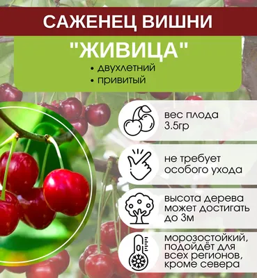 GOOD FOOD Вишня сушеная 130 г - купить в интернет-магазине shopgf.ru