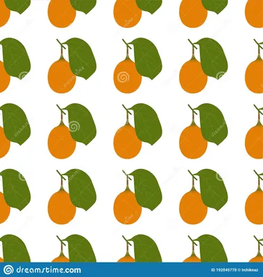 Плоды Voavanga. Безшовные картины вектора Иллюстрация вектора - иллюстрации  насчитывающей художничества, ткань: 192045960