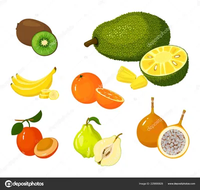 Что означают цвета фруктов и овощей для здоровья? Чем полезны фиолетовые и  синие овощи, фрукты и ягоды.
