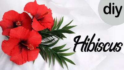 Гибискус из гофрированной бумаги / Crepe paper hibiscus - YouTube