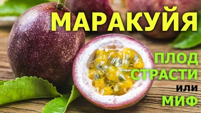 МАРАКУЙЯ – как выбрать спелые и свежие плоды пассифлоры и как их правильно  есть - YouTube