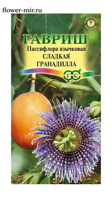 Пассифлора Сладкая Гранадилла 5 шт. купить оптом в Томске по цене 49,08 руб.