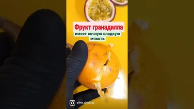 Семена Орешка Гранадилла, страстоцвет язычковый 5 шт. — купить в  интернет-магазине по низкой цене на Яндекс Маркете