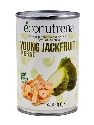 Джекфрут сушеный, 500 грамм – Ecofinik
