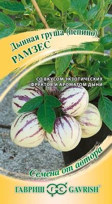 ✓ Семена Пепино Рамзес, 5шт, Гавриш, Семена от автора по цене 137 руб. ◈  Большой выбор ◈ Купить по всей России ✓ Интернет-магазин Гавриш ☎  8-495-902-77-18