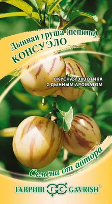 ✓ Семена Пепино Консуэло, 5шт, Гавриш, Семена от автора по цене 137 руб. ◈  Большой выбор ◈ Купить по всей России ✓ Интернет-магазин Гавриш ☎  8-495-902-77-18