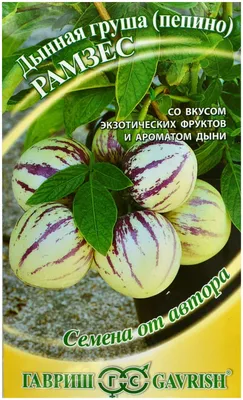 Огурец свежий вес Ривьера Купить в магазине СВЕТОФОР город Людиново,  ул.Урицкого, 16а