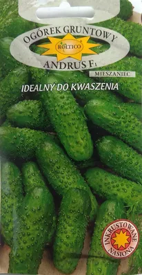 Семена Огурец Висконсин 15 шт. Купить в Гродно — Семена Ay.by. Лот  5028849383