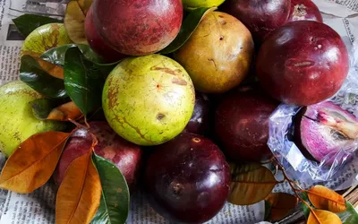 Знакомьтесь, Звёздное яблоко - экзотический фрукт из ЮВА | 2X2TRIP | Дзен