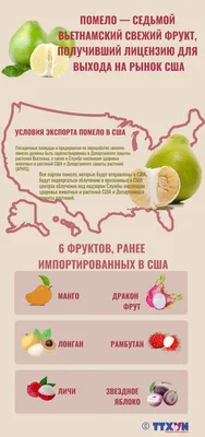 страница 18 | Nutritious Изображения – скачать бесплатно на Freepik