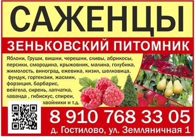 Купить семена Цефалофора (земляничная трава) — от НПО Сады Росcии