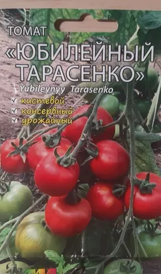 Хитрый томат \"Юбилейный Тарасенко\". Личный опыт выращивания. | Оксана  Бухгалтерский огород | Дзен