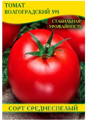 Семена томата Волгоградский 595, 0,5кг: купить оптом, цена 927,36  грн/упаковка - 7 Соток
