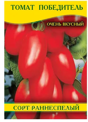 Семена томата Победитель, 0,5кг: купить оптом, цена 560 грн/упаковка - 7  Соток
