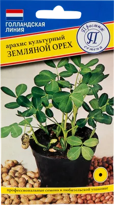 Арахис культурный (Земляной орех) в Москве – купить по низкой цене в  интернет-магазине Леруа Мерлен