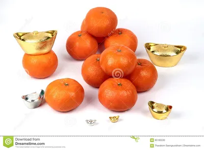 Хризантема корейская 'Золотистый Апельсин' | BOTSAD.BY