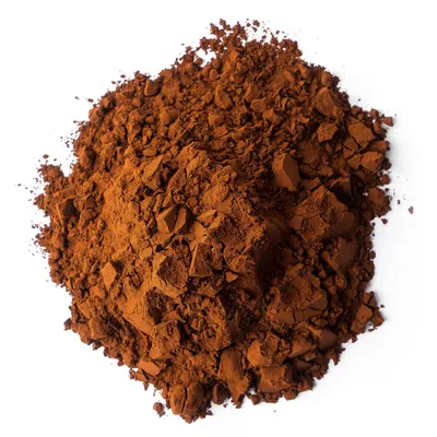 Какао-порошок Extra Brute 22-24%, Cacao Barry, Франция, 100 г - Цена в  Москве