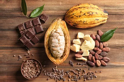 Как из какао-бобов делают шоколад (часть 2) | Блог Torrefacto