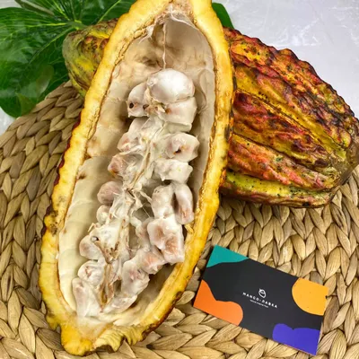 Какао фрукт – Экзотические фрукты Mango Лавка Москва